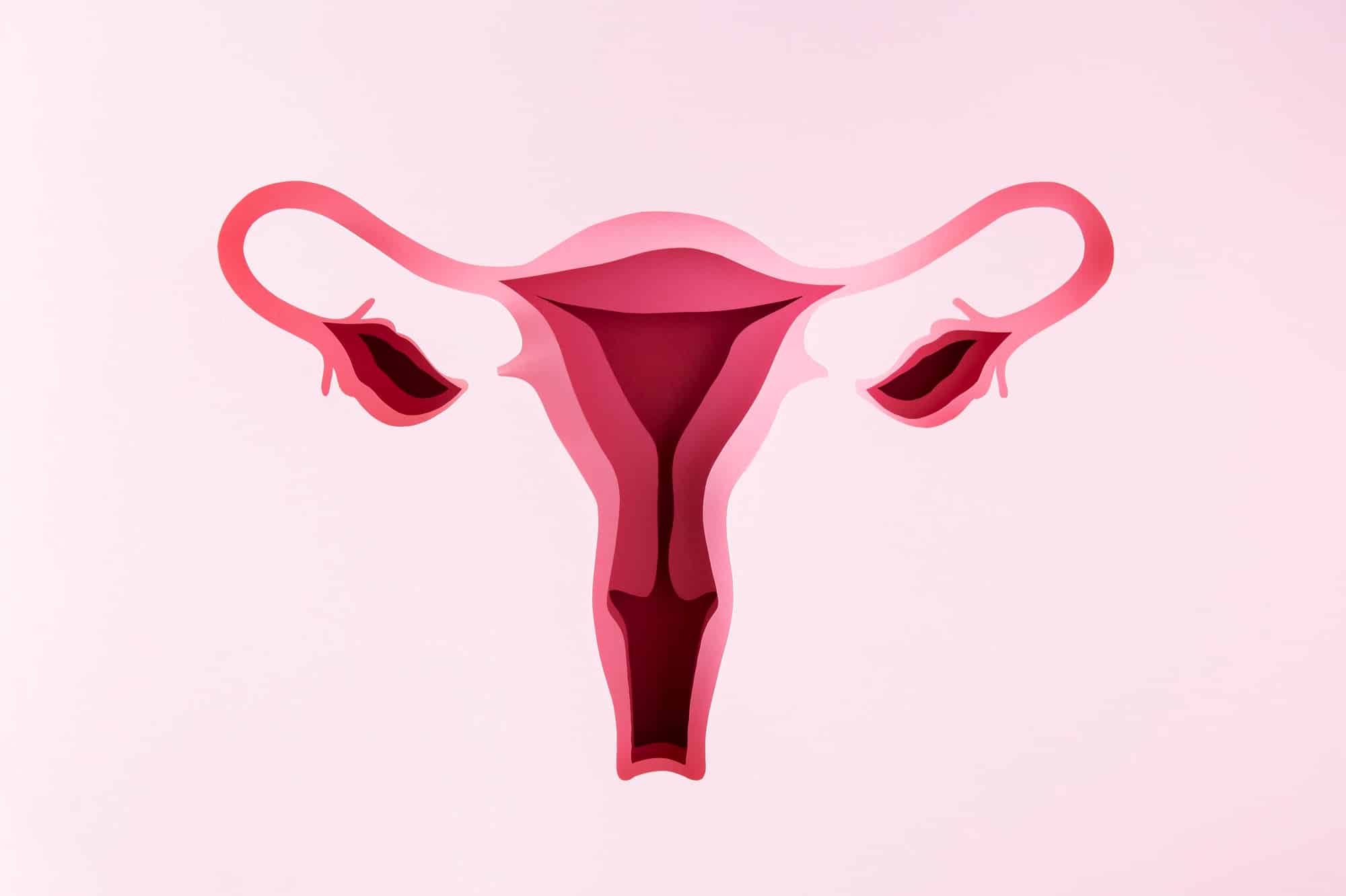 Concepto ilustrado de menopausia